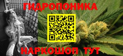 гашик Обь