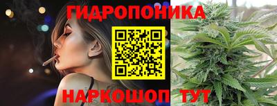 гашик Обь