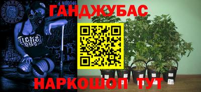 гашик Обь
