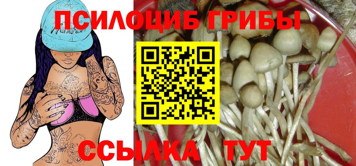 магазин продажи   Галлюциногенные грибы мицелий  Галлюциногенные грибы мицелий  Вход с VPN  Ногинск 