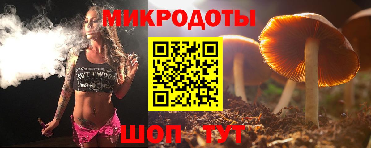 Галлюциногенные грибы GOLDEN TEACHER Ногинск